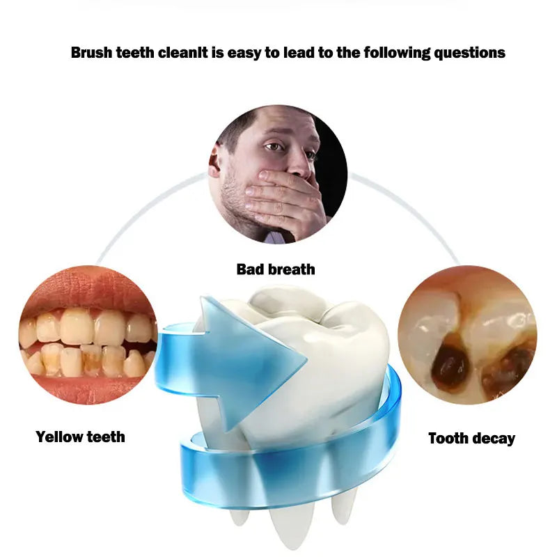 Electric Toothbrush Automatic USB Charge Waterproof Toothbrush